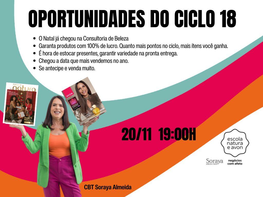 oportunidades-do-ciclo-18-conheca-as-oportunidades-do-ciclo-18-aumente-suas-vendas-e-cresca-o-plano-de-crescimento-gn-solange-castro-2011-19h00