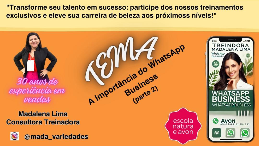 a-importancia-do-whatsapp-business-use-o-whatsapp-business-e-arrase-em-sua-sua-consultoria-parte-2-cbt-2103-16h03