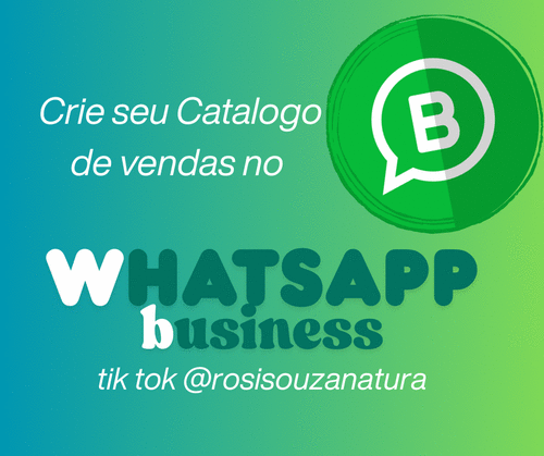 WHATSAPP BUSINESS - CATALOGO DE PRODUTOS - GN - ARLENA BARRA - 23/05 - 14h00