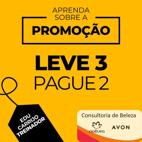 AC脮ES ESTRAT脡GICAS DE VENDAS - para consultores - GN - ARLENA BARRA - 18/11 - 14h00