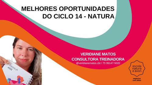 VAMOS IDENTIFICAR AS MELHORES OPORTUNIDADES DO CICLO 14 DA NATURA - Estudo de ciclo - CBT - 15/09 - 16h30